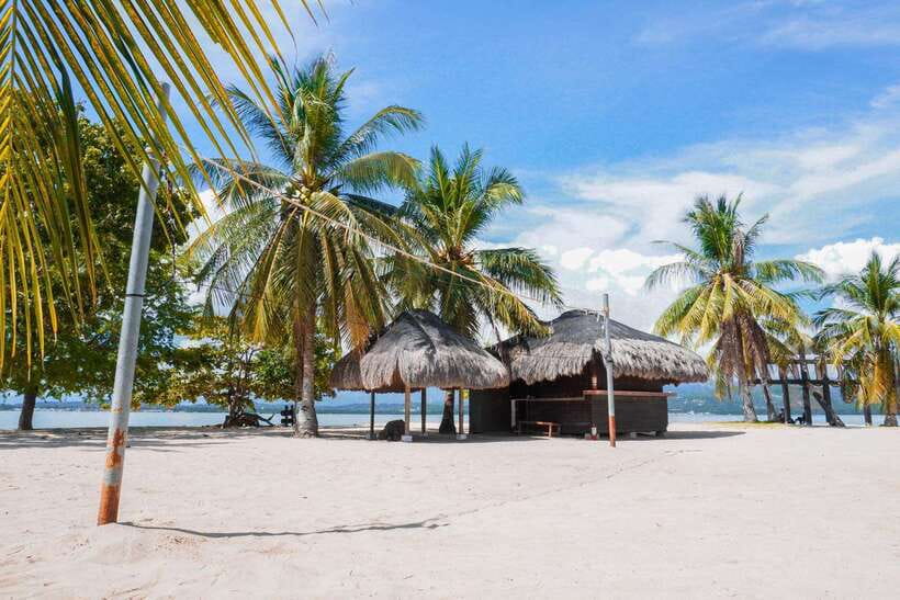 Puerto Princesa: Cowrie Island Guided Day Tour with Meal - Booking advice for a smooth six hours