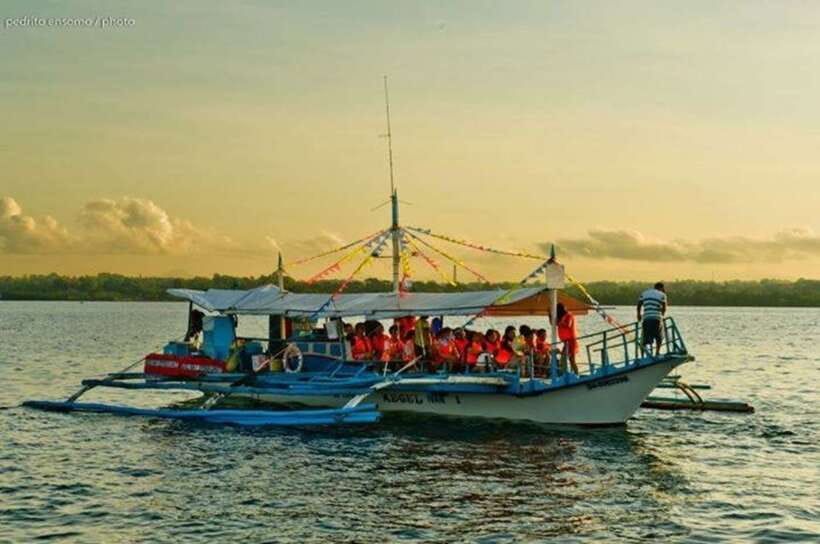 Puerto Princesa: Firefly Watching Bay Cruise with Dinner - How the evening is organized