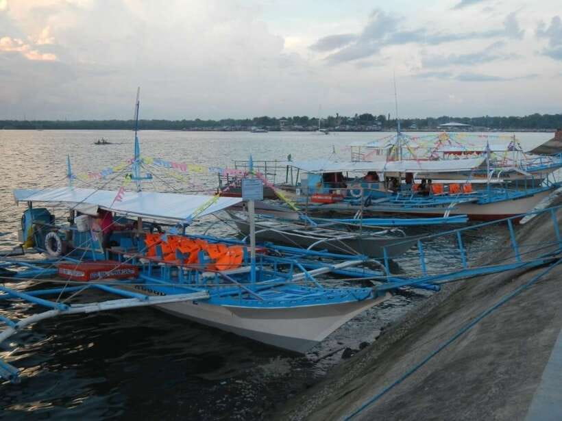 Puerto Princesa: Firefly Watching Bay Cruise with Dinner - Practical ways to enjoy the fireflies