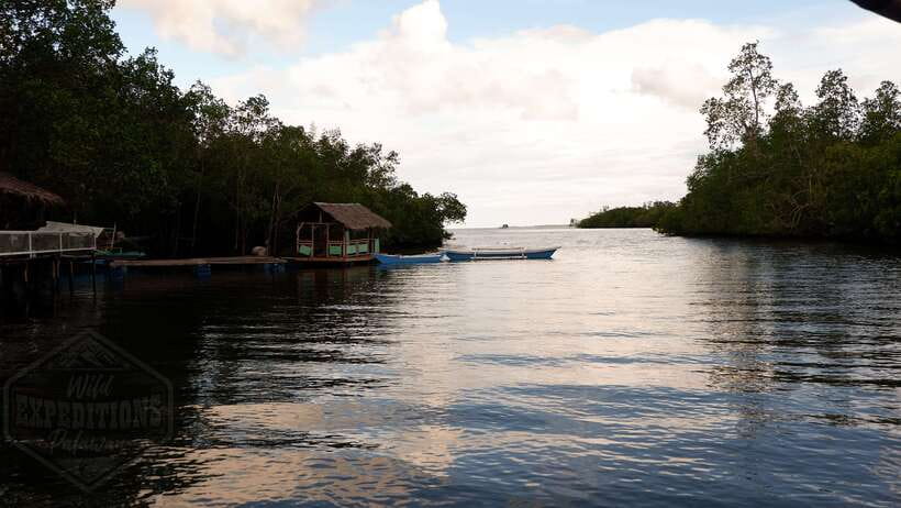 Puerto Princesa: Firefly Watching Paddle Boat Tour & Dinner - Why this evening works after a busy Puerto Princesa day