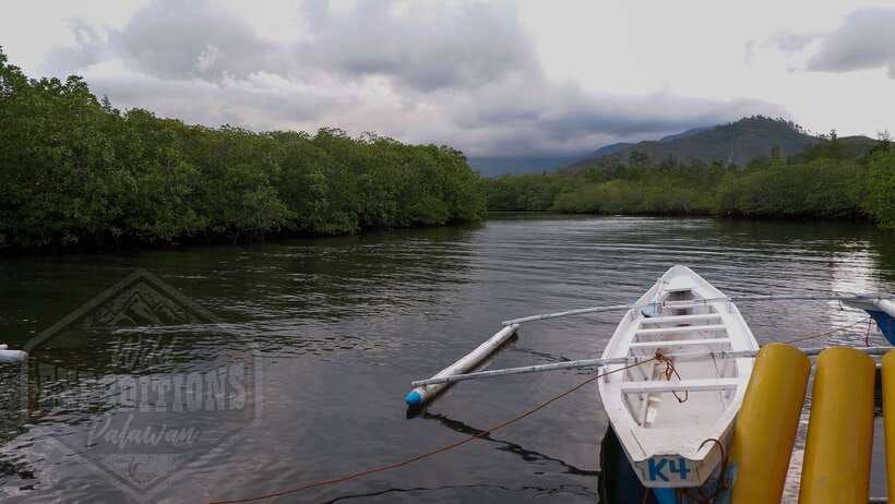 Puerto Princesa: Firefly Watching Paddle Boat Tour & Dinner - Dinner at Swag Restaurant before the river