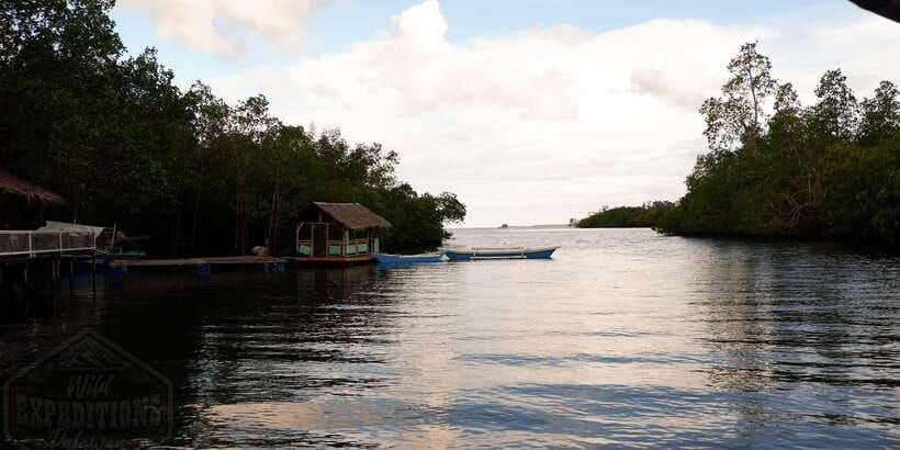 Puerto Princesa: Firefly Watching Paddle Boat Tour & Dinner - The paddle boat and the blinking mangrove banks
