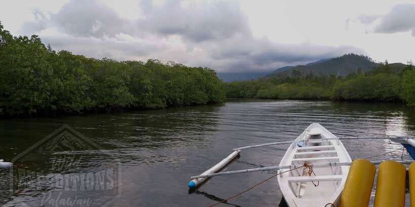 Puerto Princesa: Firefly Watching Paddle Boat Tour & Dinner - Rain, insects, clothing, and other practical details