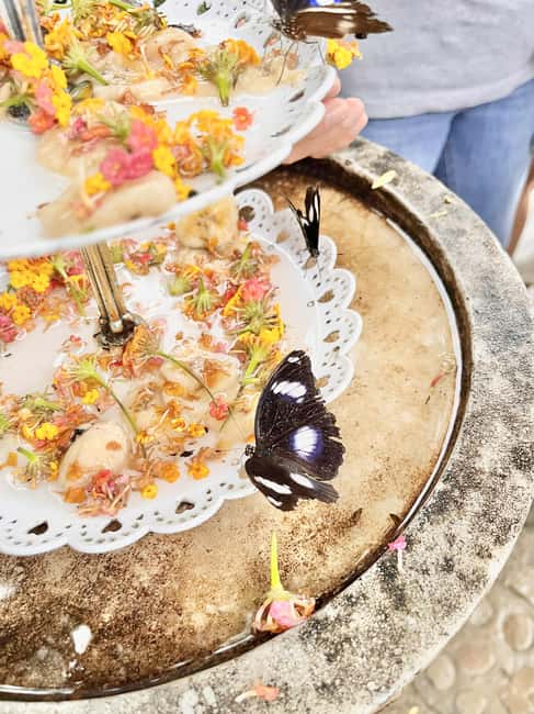 Puerto Princesa: Half Day City Tour with Butterfly Garden - A Four-Hour Introduction to Puerto Princesa