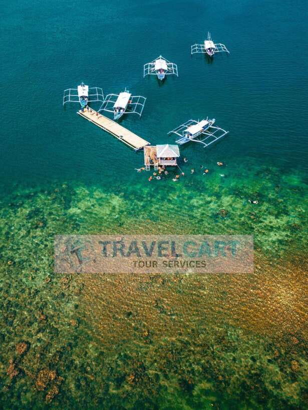 Puerto Princesa Honda Bay Island Hopping - Pambato Reef brings the marine life