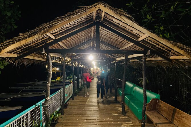 Puerto Princesa Jungle River Firefly Watching - Kitu-KiTo D’Makarios after dark