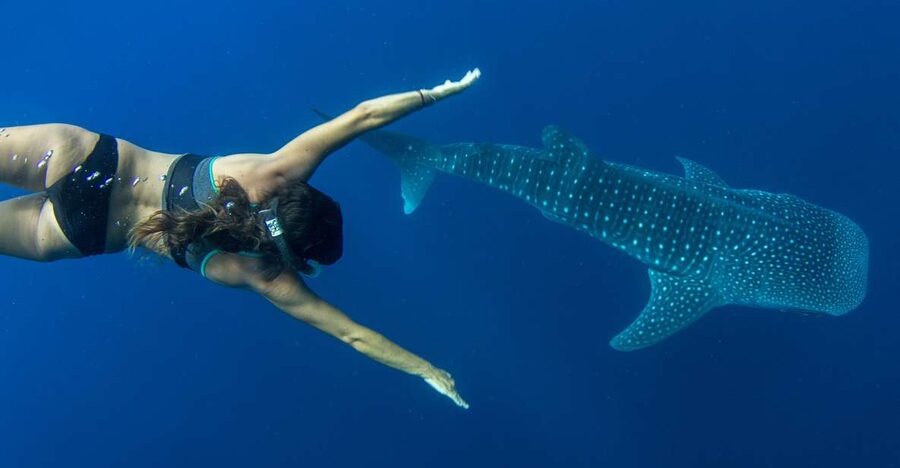 Puerto Princesa: Swim with Whale Sharks Boat Cruise - Getting ready with mask, snorkel, and fins