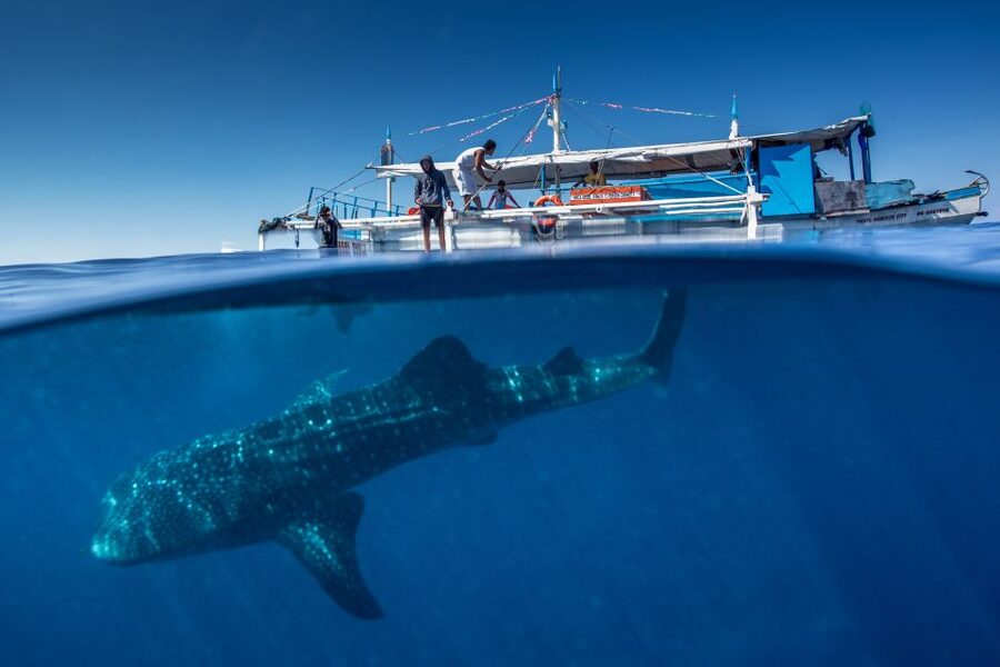 Puerto Princesa: Swim with Whale Sharks Boat Cruise - Leaving Baywalk and heading offshore