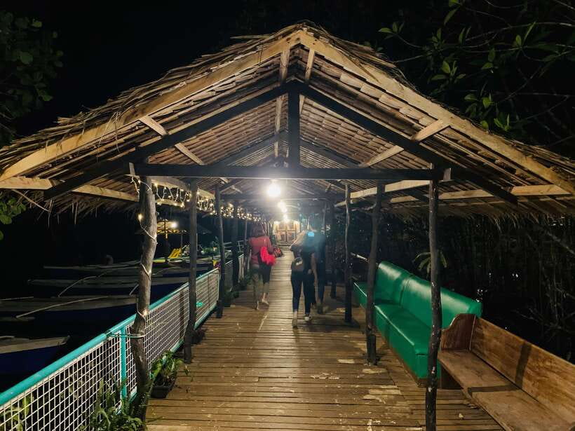 Puerto Princesa: Underground River and Firefly Watching Tour - Inside the Underground River