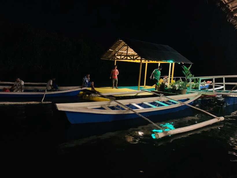 Puerto Princesa: Underground River and Firefly Watching Tour - Guides, timing, and the level of organization