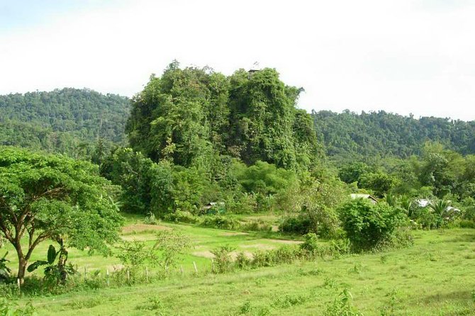 Puerto Princesa Underground river excursion tour UNESCO - The 90-minute drive from Puerto Princesa