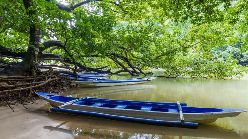 Puerto Princesa Underground River Tour in Palawan - Key points to know before booking