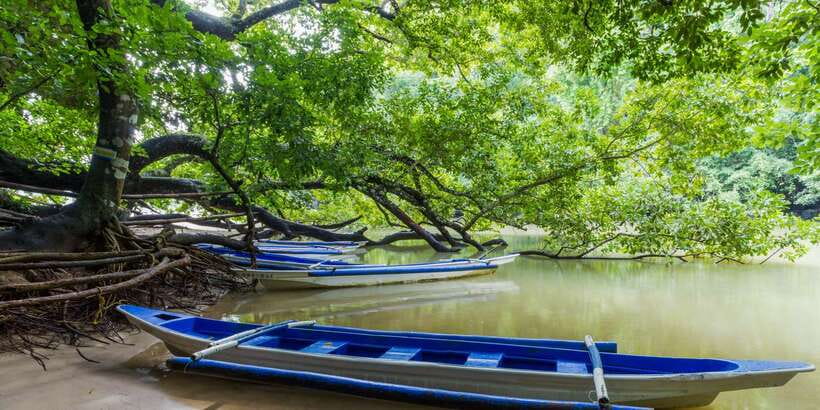 Puerto Princesa Underground River Tour in Palawan - Inside the Underground River for 45 to 60 minutes