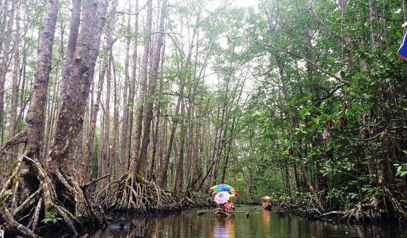 Puerto Princesa: Underground River, Zipline, Paddleboat Tour - Walking to Sabang X Zipline