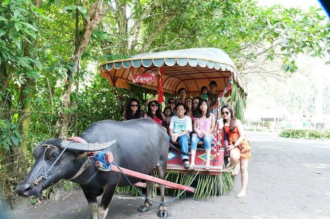 Sagada and Banaue Rice Terraces 4-Day Tour - Who should book this tour