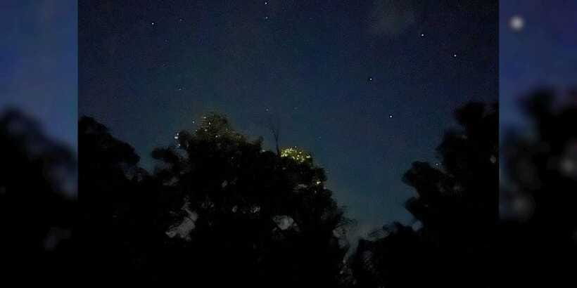 Shared Firefly Watching Cruise on Bohol’s Scenic Loboc River - What the $32 price includes