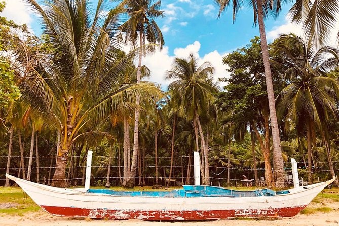 Shared Honda Bay Island Hopping Tour - Cowrie Island, lunch and more swimming time