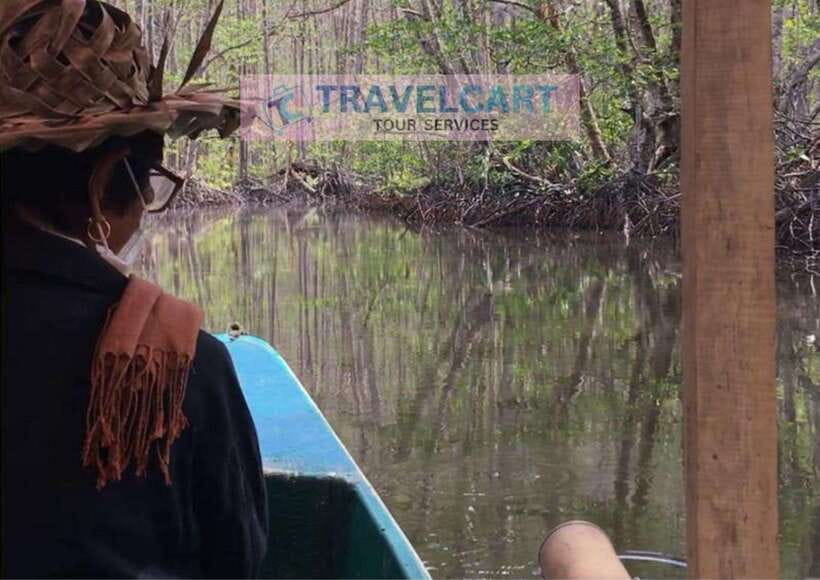 Shared Underground River with Mangrove Paddle Boat & LUNCH - Inside the Underground River for 45 minutes
