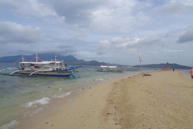 Shore excursion: Puerto Princesa Island Hopping Tour - Starfish Island: the most memorable marine-life stop