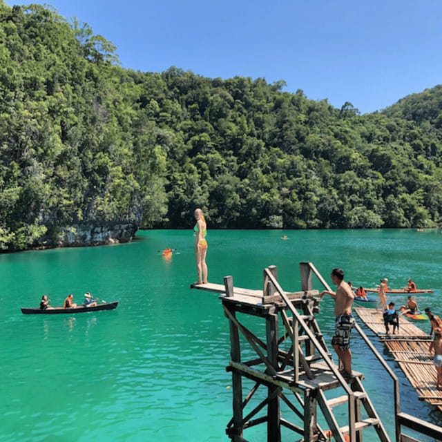 SIARGAO: Land Tour with Maasin River - Maasin River and the bent coconut tree