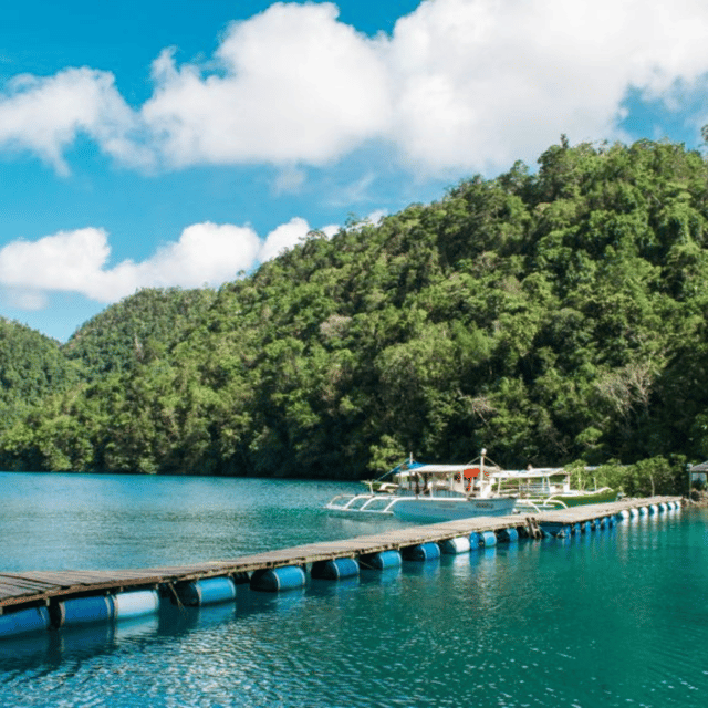 Siargao:Sohoton Island Hopping Tour with Jellyfish Sanctuary - Swimming with the non-stinging jellyfish