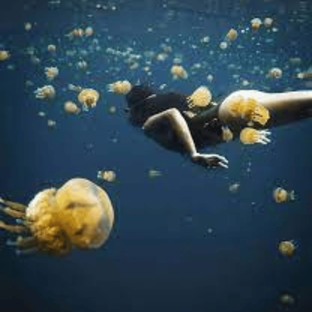 Siargao:Sohoton Island Hopping Tour with Jellyfish Sanctuary - Tiktikan Lake, Dagatan Bay, and Bubon Beach