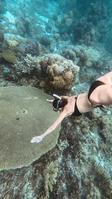 Siquijor: Freediving Adventure with Lunch and Beach Time - Who should book this experience?