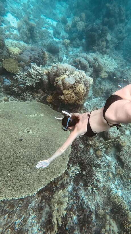 Siquijor: Freediving Adventure with Lunch and Beach Time - Starting from Siquijor and getting between sites
