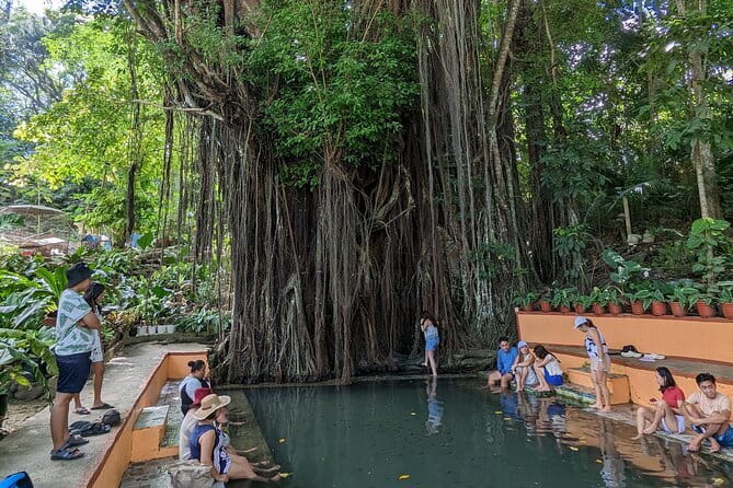 Siquijor Land Tour - The Old Enchanted Balete Tree offers a simple fish spa
