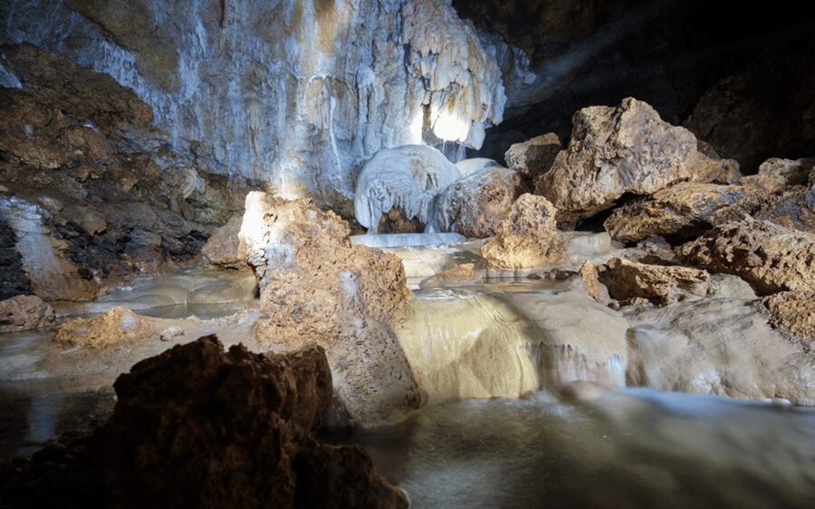 Siquijor Mountain Day Tour From Dumaguete (Private Tour) - Tubod Sanctuary and the island’s sea life