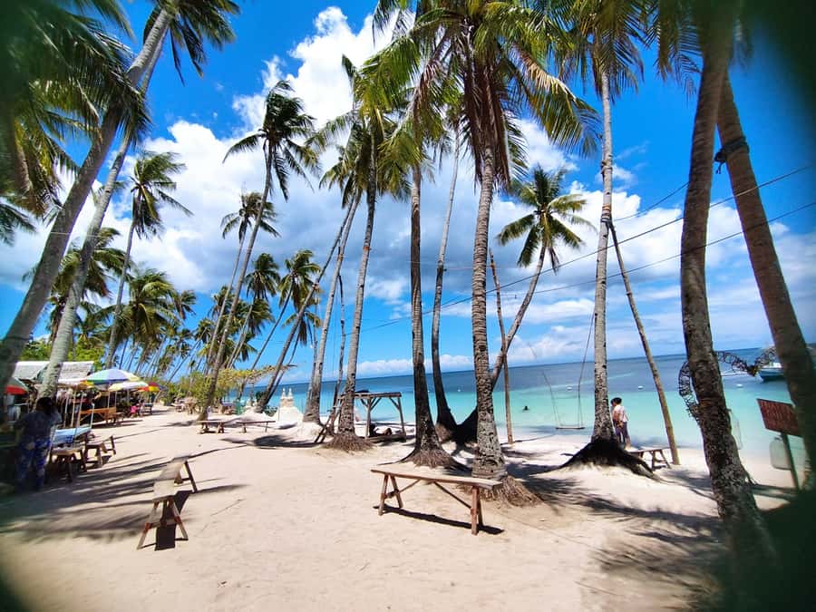 Siquijor: Siquijor Island Tour Cambugahay Falls Private - Cambugahay Falls and the 300-step walk