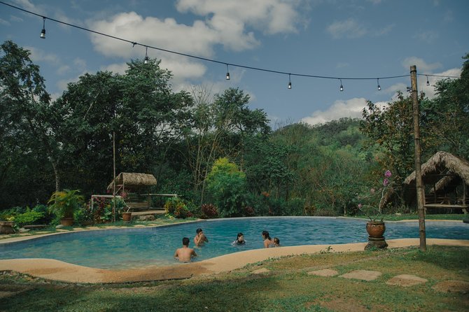 Skip the Line: Hike Eat Swim at Mount Purro Nature Reserve Ticket - Planning the day around the forest hike