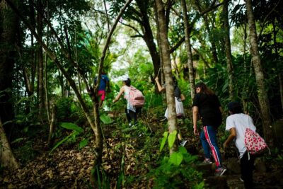 Skip the Line: Hike Eat Swim at Mount Purro Nature Reserve Ticket
