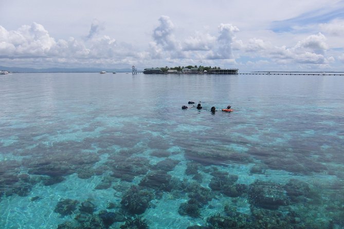 Snorkeling at San Vicente with speed boat - A two-hour reef trip from Mactan