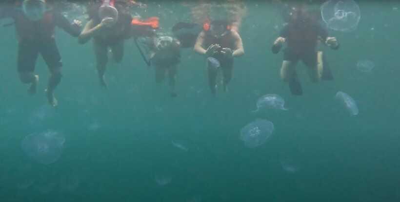 Sohoton Cove: Swim with Jellyfish & Explore Hidden Lagoons - Hagukan Cave and its blue interior