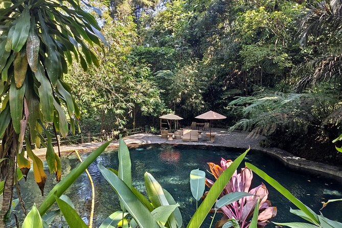 Tagaytay + Hidden Valley Springs: A Scenic Escape w/ Transfers - The day’s rhythm and the early start