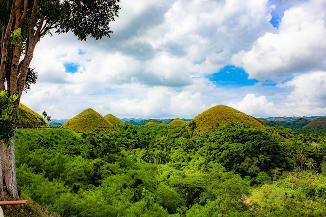 The tour of the must-see sites of Bohol - The Loboc River stop is short but scenic