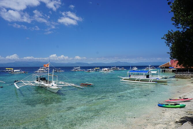 Whale Shark, Canyoneering, Sardines Run and Turtles with Transpo - Four hours in the Kawasan canyon