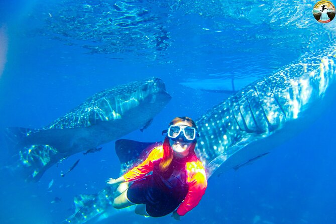 Whale Shark Swimming, Tumalog Falls and Kawasan Canyoneering - Kawasan canyoneering, from cliff jumps to the falls