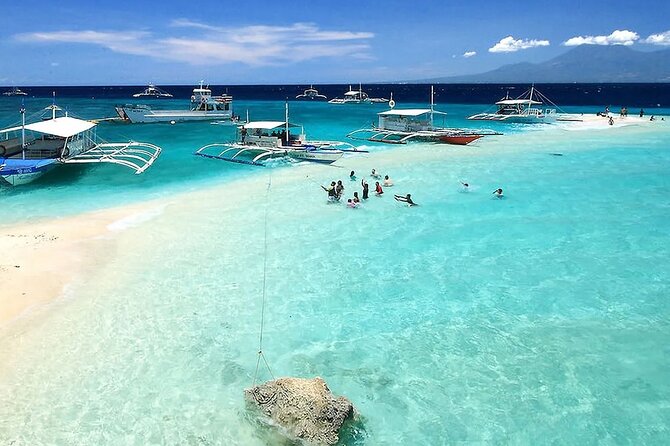 Whale Watching in Sumilon Island with Ocean View Resort and Lunch - Key points at a glance