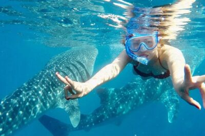 Whale Watching in Sumilon Island with Ocean View Resort and Lunch